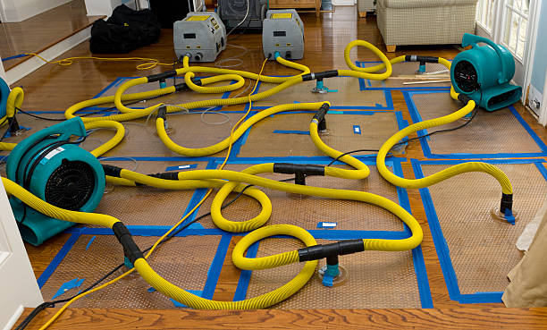 Professional Water Damage Repair technician working in Orangeburg, NY